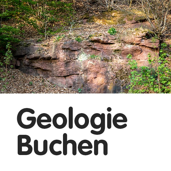 Geologie rund um Buchen