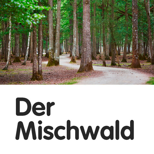 Mischbestand