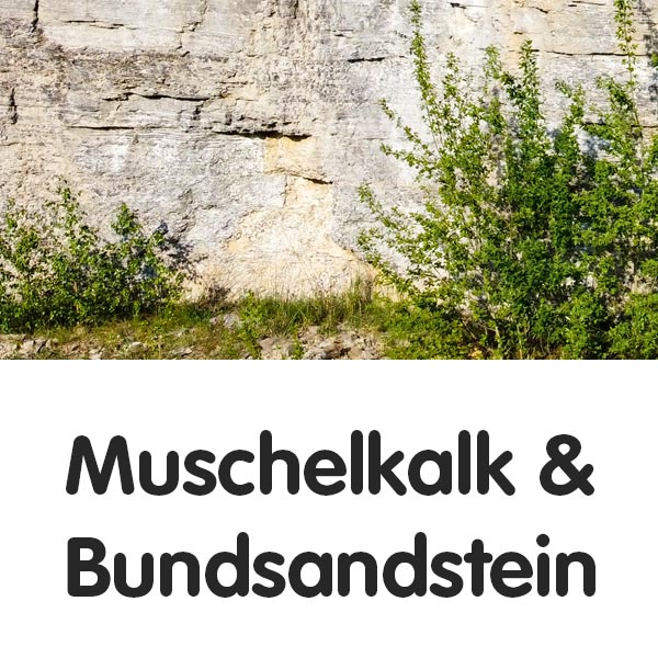 Muschelkalk und Buntsandstein