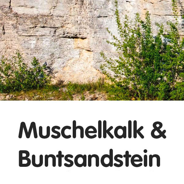 Muschelkalk und Buntsandstein