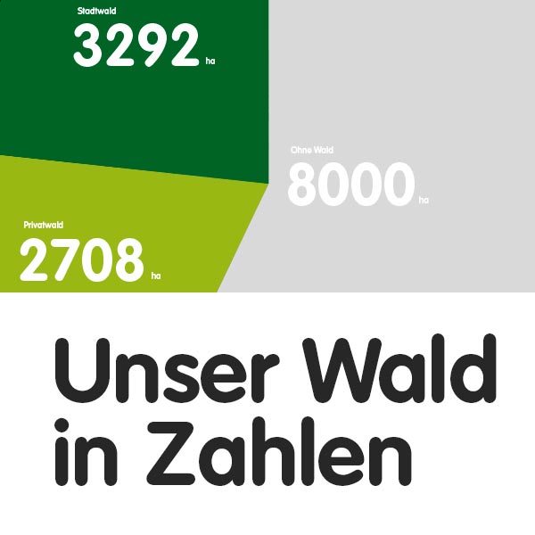 Unser Wald in Zahlen