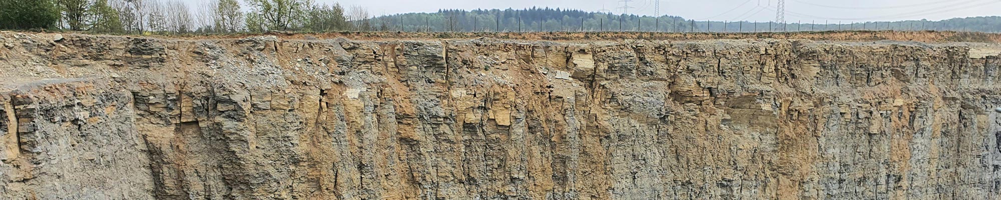 Fossilien - Walderlebnispfad Buchen
